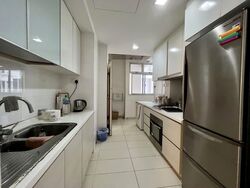 Oasis @ Elias (D18), Condominium #557568691